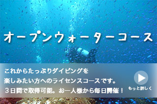 オープンウォーターダイバーコース「これからたっぷりダイビングを楽しみたい方へのライセンスコースです。３日間で取得可能。お一人様から毎日開催！」