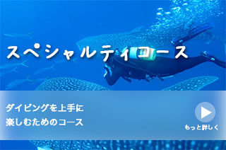 スペシャルティコース「ダイビングを上手に楽しむためのコース」